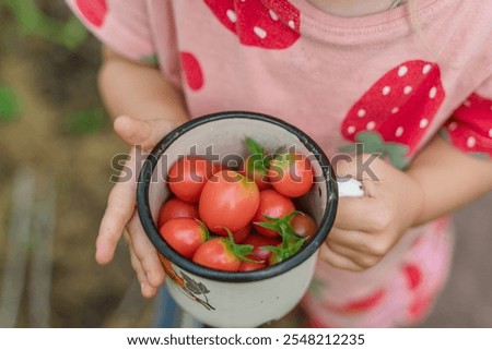 Similar – Image, Stock Photo Children and senior woman putting apples inside of wicker baskets