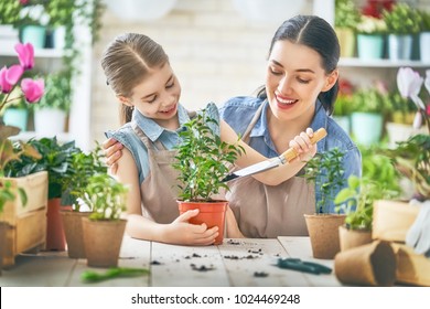 Cute Child Girl Helping Her Mother To Care For Plants. Mom And Her Daughter Engaging In Gardening Near Window At Home. Happy Family In Spring Day.