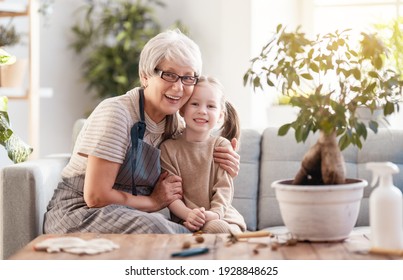 Cute Child Girl Helping Her Grandmother To Care For Plants. Granny And Her Granddaughter Engaging In Gardening At Home. Happy Family In Spring Day.