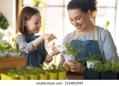 Cute Child Girl Helping Her Mother To Care For Plants. Mom And Her Daughter Engaging In Gardening At Home. Happy Family In Spring Day.