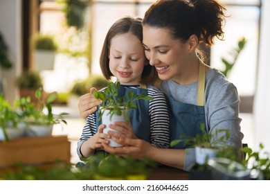 Cute child girl helping her mother to care for plants. Mom and her daughter engaging in gardening at home. Happy family in spring day. - Powered by Shutterstock