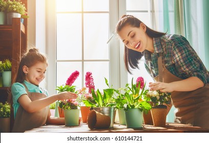 Cute Child Girl Helps Her Mother To Care For Plants. Mom And Her Daughter Engaged In Gardening Near Window At Home. Happy Family In Spring Day.