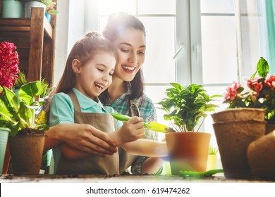 Cute child girl helps her mother to care for plants. Mom and her daughter engaged in gardening near window at home. Happy family in spring day. - Powered by Shutterstock