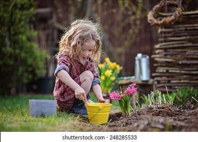 Cute Child Girl Plays Little Gardener And Planting Hyacinth Flowers To The Ground In Spring Garden, Seasonal Outdoor Activities, Happy Childhood