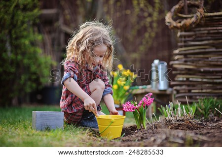 cute child girl plays little gardener and planting hyacinth flowers to the ground in spring garden, seasonal outdoor activities, happy childhood