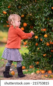 21,123 Child picking fruit Images, Stock Photos & Vectors | Shutterstock