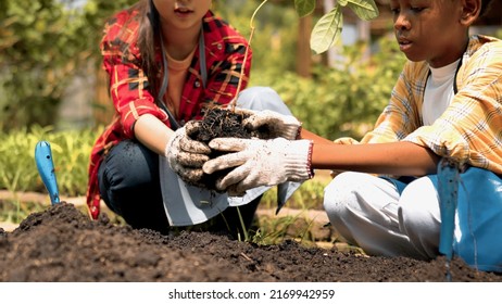 Cute Child Planting Young Tree On The Black Soil Working In The Garden As Save World Concept, Nature, Environment And Ecology. Education And School Children Planting Young Fruit Trees Outdoor Concept.