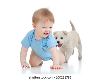 Cute Child Playing And Crawling Away A Puppy, Puppy Following