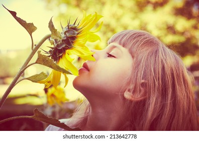 Cute Child With Sunflower In Summer Field