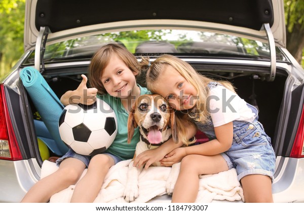 Cute children with\
dog sitting in car trunk