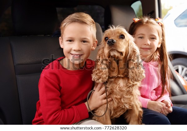 Cute children with dog\
sitting in car
