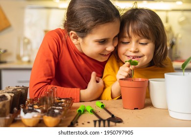 Cute children look with love at green sprout in pot. Happy boy kids and girl smiles and touches a little tree escape planted in a flowerpot