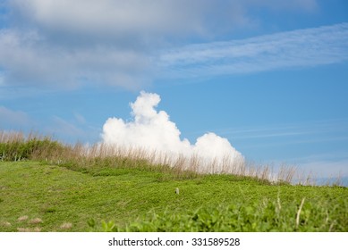 Cute cloud on the grass