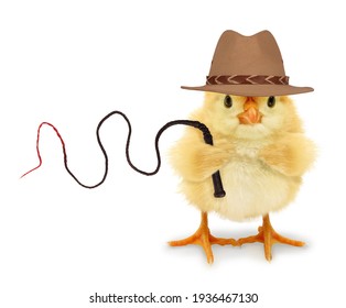 Cute Cool Chick Adventurer Explorer With Fedora Hat And Whip Funny Conceptual Image