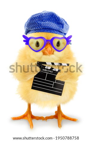 Cute cool chick filmmaker director isolated on white funny conceptual image