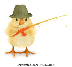 Cute cool chick fisherman with fishing rod hobby leisure activity funny conceptual image