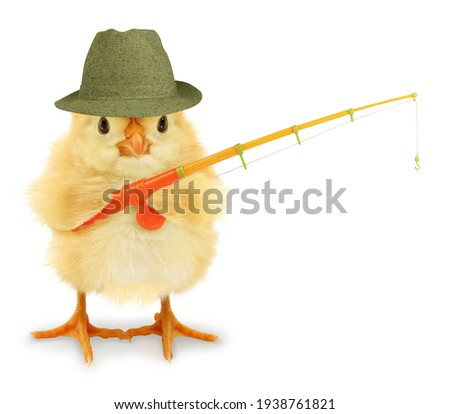 Cute cool chick fisherman with fishing rod hobby leisure activity funny conceptual image