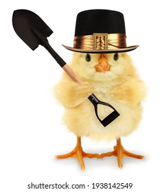 Cute Cool Chick Gravedigger Or Undertaker With Spade Funny Conceptual Image