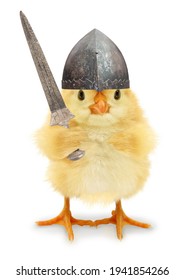 Cute Cool Chick Knight Medieval Warrior With Sword Funny Conceptual Image