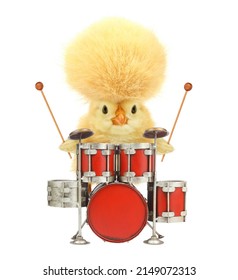 Cute cool chick musician with drums funny conceptual image. Music art chicken drummer concept. Funny baby animals photo