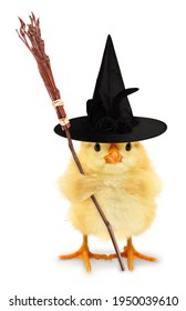 Cute Cool Chick Scary Witch With Broom Funny Conceptual Image