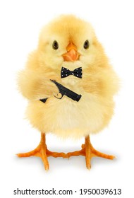 Cute Cool Chick Secret Agent Spy With Gun Funny Conceptual Image