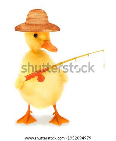 Cute cool duckling fisherman duck with fishing rod hobby leisure activity funny conceptual image