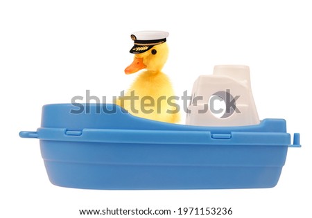 Cute cool duckling ship captain duck in blue white boat toy funny conceptual image