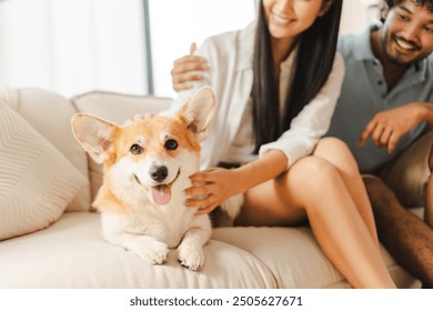 Cute corgi dog enjoys love from owners on a cozy sofa. Couple pets and cares for furry friend, creating a bond. Image shows family life, domestic bliss, and joy of sharing love with pet - Powered by Shutterstock