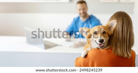 Cute corgi dog looking to the camera while being held by his owner at the vet clinic, selective focus, copy space. Pet health care concept