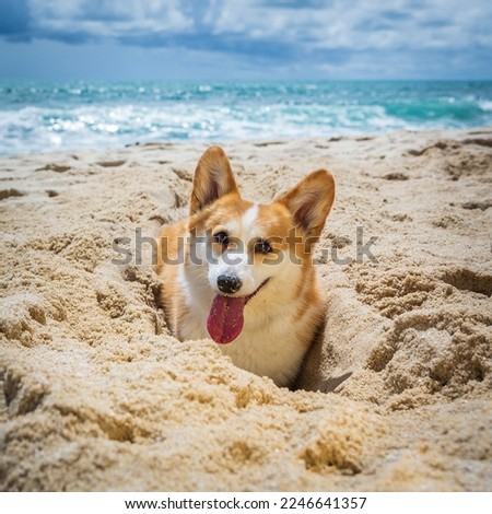 Cute corgi dog with tilted head and upright ears and brown eyes sitting in a sandy hole that she has been digging at the beach with blurred bright blue sky and sparkling sea in background.