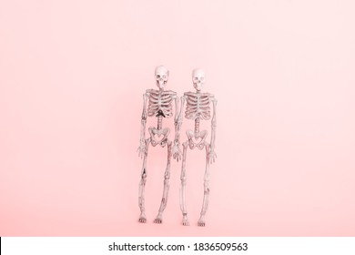 Cute Couple Skeletons Pink Background Stock Photo 1836509563 | Shutterstock