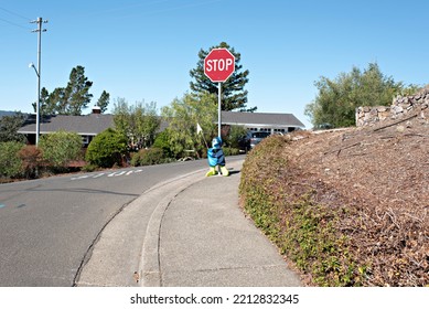 Cute Crossing Guard Outfit Below The Red Stop Sign