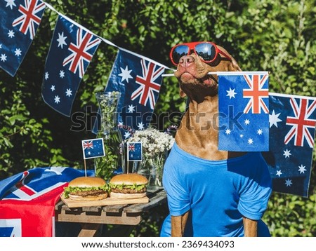 Cute dog, Australian Flag, two delicious hamburgers and homemade lemonade. Close-up, outdoors. Day light. Pets care concept. Congratulations for family, relatives, friends and colleagues