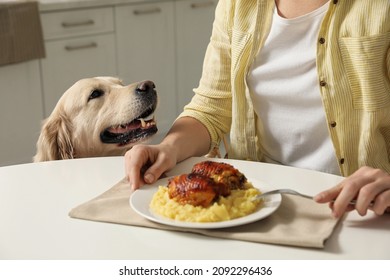 Cute Dog Begging For Food While Owner Eating At Table, Closeup