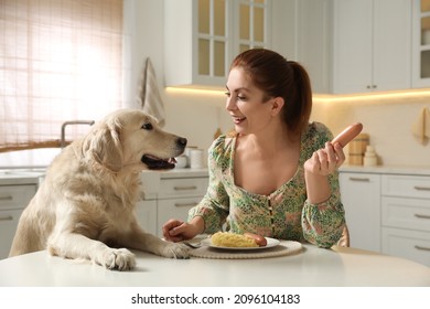 Cute Dog Begging For Food While Owner Eating At Table	