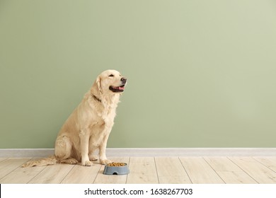 Cute Dog And Bowl With Food Near Color Wall