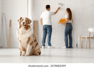 Cute dog with brush in front of couple painting wall in their new home - Powered by Shutterstock