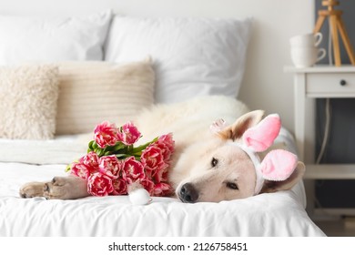 Cute Dog With Bunny Ears, Flowers And Easter Egg Lying On Bed