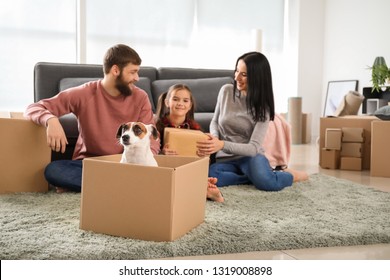 4,533 Dog in cardboard box Images, Stock Photos & Vectors | Shutterstock