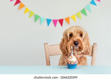 Cute Dog Celebrating With Birthday Cupcake And Bunting