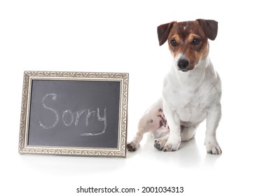 Cute Dog And Chalkboard With Word SORRY On White Background