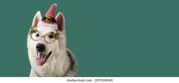 Cute Dog With Christmas Decor On Color Background With Space For Text