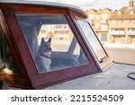 Cute dog with collar sitting at the front window of a house boat floating on the Thames river in Windsor, England across from buildings on the other bank