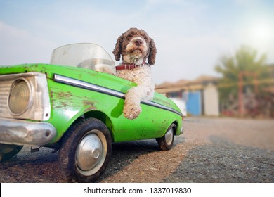 Cute Dog Driving Green Retro Car