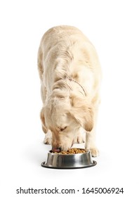 Cute Dog Eating Food From Bowl On White Background