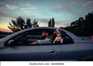 Cute Dog Enjoying The Ride In The Car.