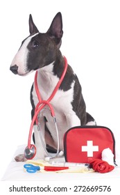 Cute Dog With First Aid Kit Isolated