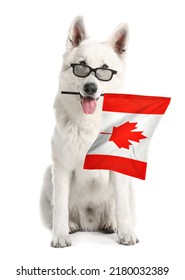 Cute Dog With Flag Of Canada Isolated On White