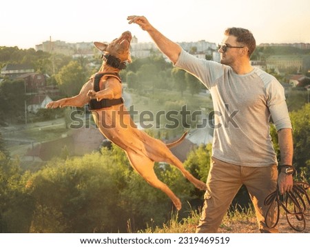 Cute dog jumps at the command of its owner. Morning walk. Closeup, outdoor. Day light. Concept of care, education, obedience training and raising pets
